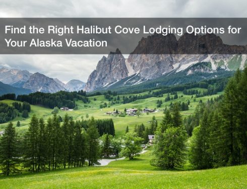 Find the Right Halibut Cove Lodging Options for Your Alaska Vacation